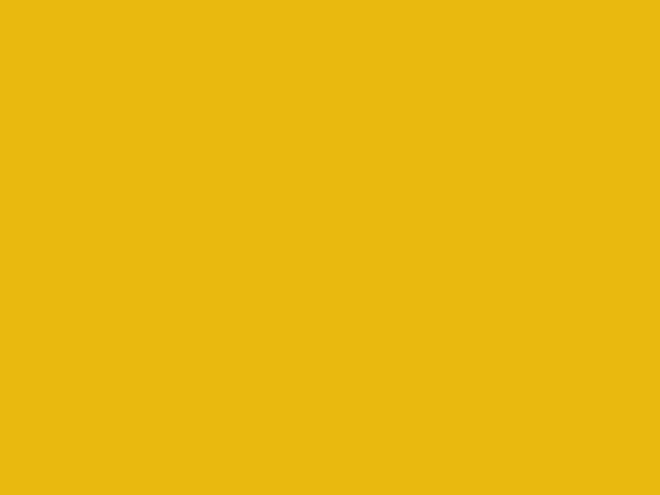 RAL 1021 - Horčičná žltá