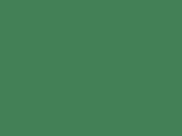 RAL 6032 - Signálna zelená
