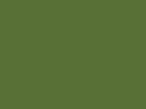RAL 6010 - Trávová zelená