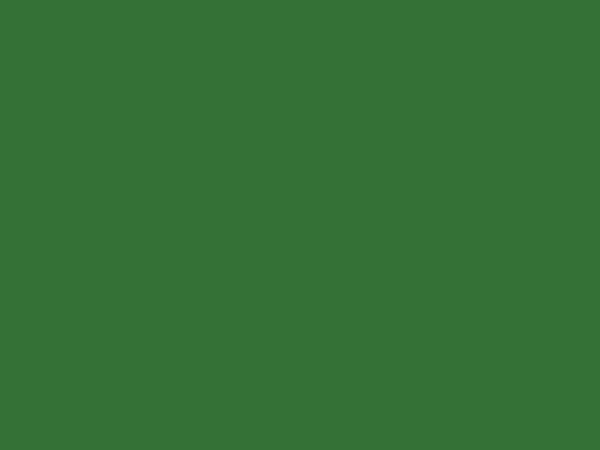 RAL 6029 - Mätová zelená