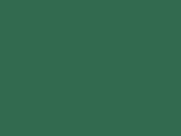 RAL 6016 - Tyrkysová zelená