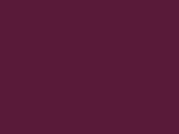 RAL 4004 - Burgundská fialová