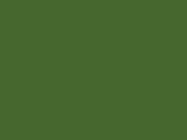RAL 6001 - Smaragdovo zelená