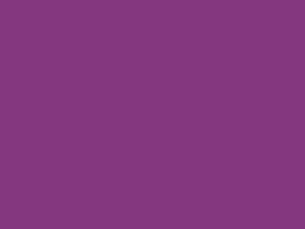 RAL 4006 - Dopravná purpurová
